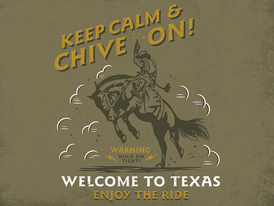 Welcome to Texas! austin bronco horse kcco riding texas