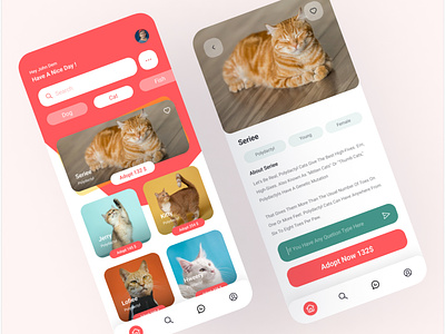 Pet adoption app ui