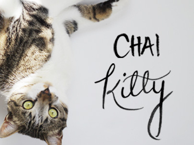 Chai Kitty cats chai hand written kitty type