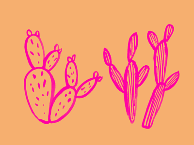 Cacti arizona cacti cactus hot pink illustration orange