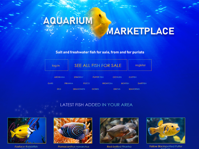Aquarium Marketplace Concept market fish blue design website web