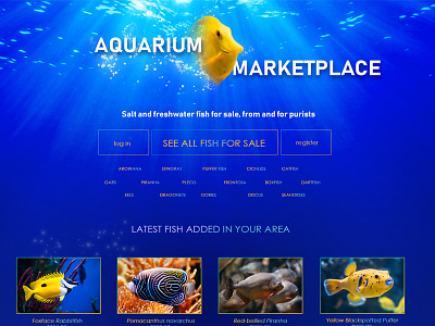 Aquarium Marketplace Concept blue design fish market web website