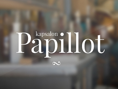 Logo hair salon barber hair hair dresser hair salon kapsalon logo papillot