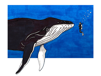 Close encounters diver doodle draw drawing illustration ink markers paper sea sketch sketchbook water whale