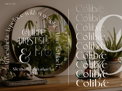 Colibre Bristole Pro | Font Family branding font font font awesome font design font family logotype serif font typography