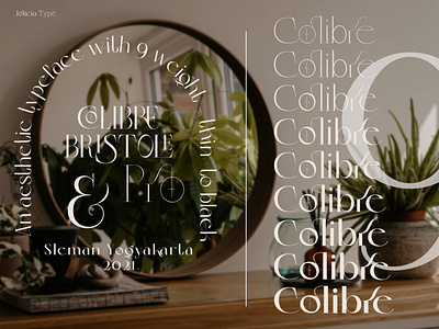 Colibre Bristole Pro | Font Family