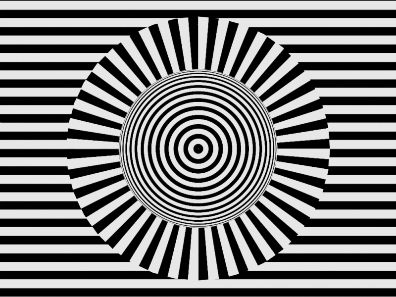 Optical Illusion: Spiral Aftereffect 