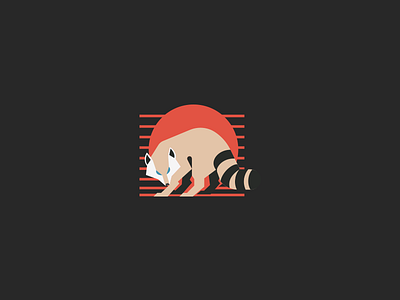 Racc animal coon illustration logo raccoon stripes sun vector