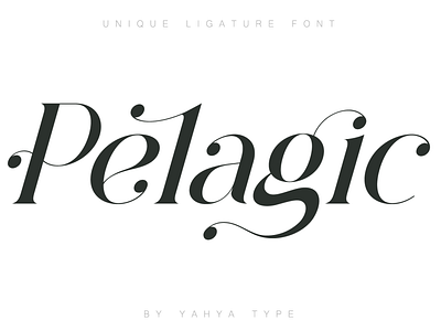 Pelagic Bird branding elegant font font design graphic design logo modern serif font typeface typo wedding