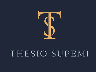 TS luxury logo