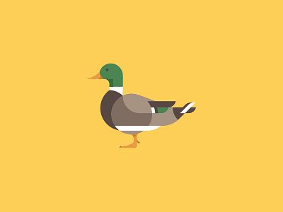 Duck animal bird duck icon illustration vector