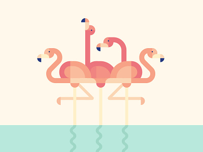 Flamingoes animal bird flamingo geometric illustration shape vector water