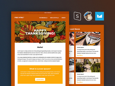 Freebie: Thanksgiving Email Template