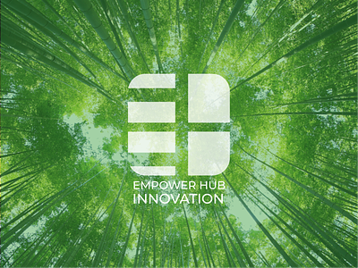 Visual identity | Empower Hub Innovation graphic design logo logodesign