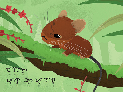 Mt. Pulag Tree-mouse