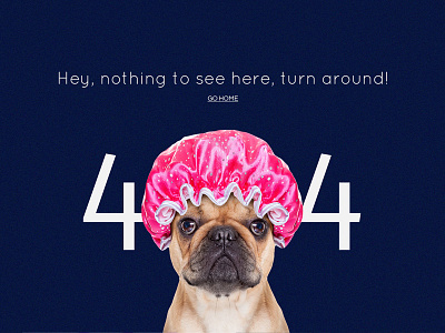 Funny 404 Page Concept