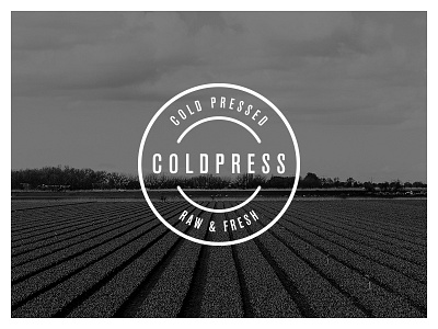 Coldpress Logo branding identity logo logotype typography