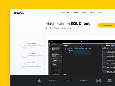 TeamSQL Landing Page