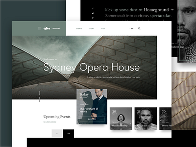 Sydney Opera House Concept Design landing landing page ui web webdesign website