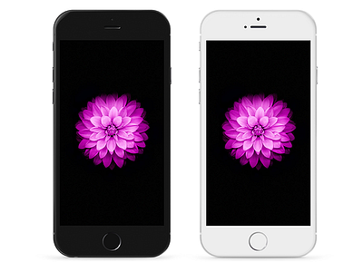 iPhone 6 Plus - Psd black iphone iphone6 mockup plus psd white