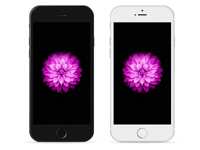 iPhone 6 Plus - Psd