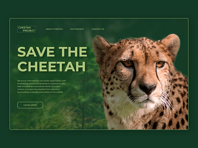 Cheetah Design Concept concept design homepage main page nature typography ui ux webdesign