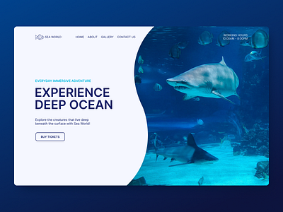 Aquarium Design Concept aquarium concept design homepage logo minimalistic ui underwater ux web design website