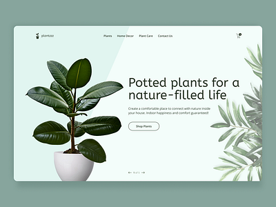 Plant Store Design Concept