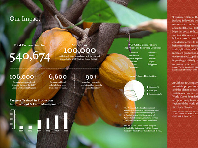 World Cocoa Foundation Brochure annual report brochure nonprofit print design