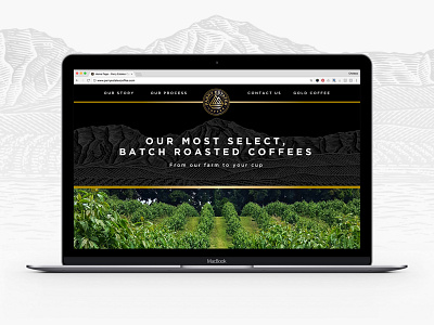 Parry Estates Landing Page branding coffee landing page ui web design website