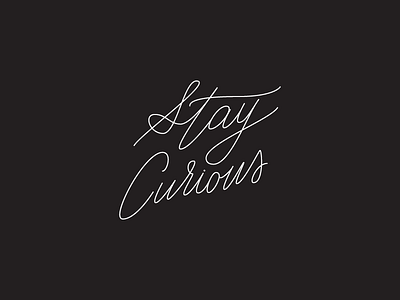 Stay Curious lettering monoline script type typography