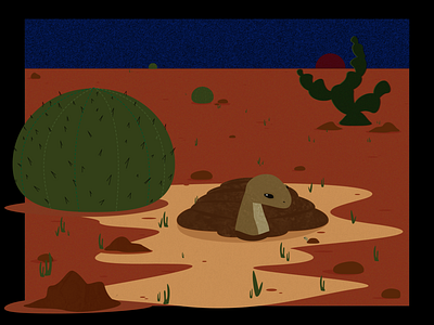 desert tortoise animals arizona barrel cacti characterdesign desert illustration korean minimal paddle redsand rocks shozda sonoran tortoise tortuga