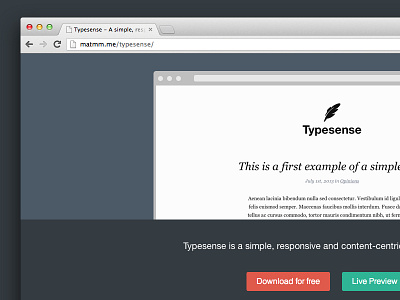 Typesense DL Page