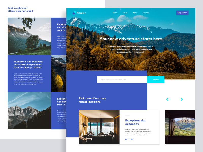 Mountain View by Claudiu Constantin on Dribbble