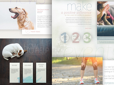 Asf Designs Themes Templates And Downloadable Graphic Elements On Dribbble