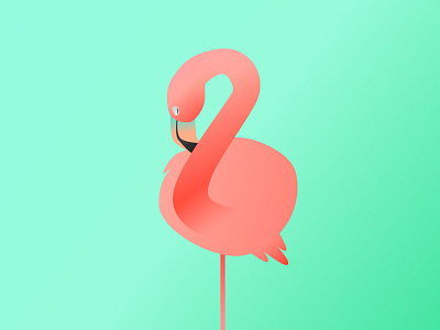 do NOT disturb 365project animal art bird colorful dailydesign flamingo gradients illustration simple tropical vector