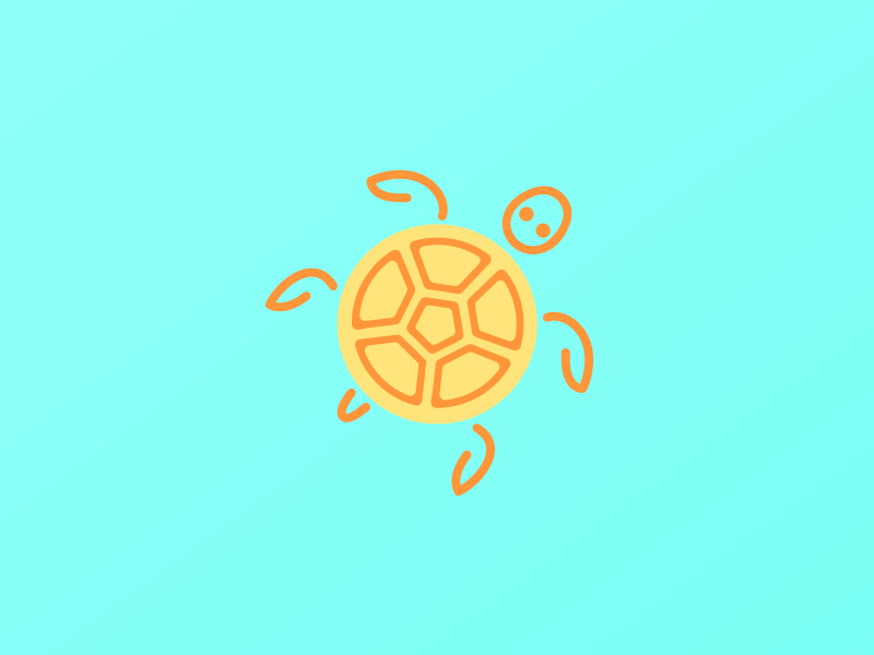 Tortuga 01
