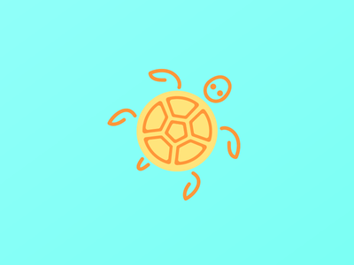 turtle time