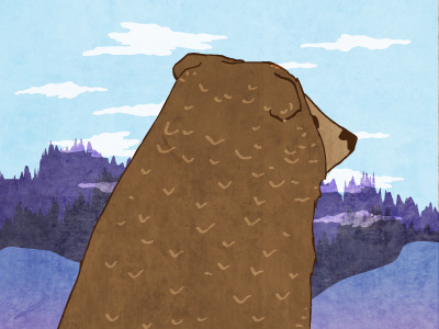 Bear bear mountains