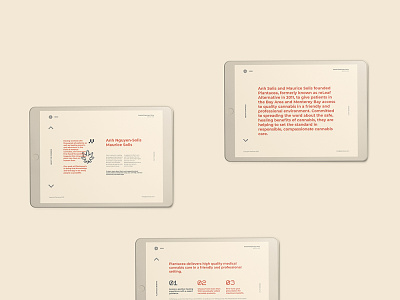 Plantacea - About Us Page branding css3 html5 illustration js minimalist typography web design