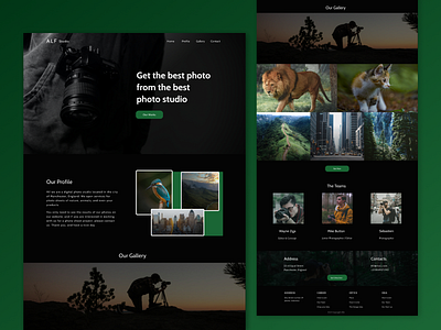 ALF Studio - Photography Studio Website app application design figma flat graphic design illustration photography photography website ui ux vector web website wordpress wordpress blog