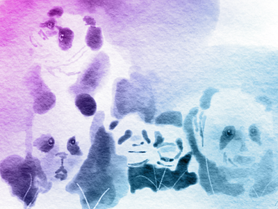 Panda Cubs daily illustration panda sketch