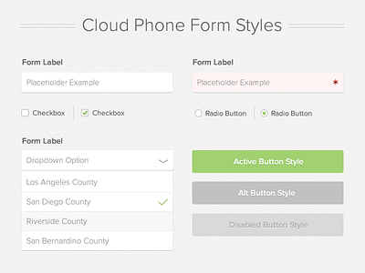 Form Style Guide custom forms html form style guide web app