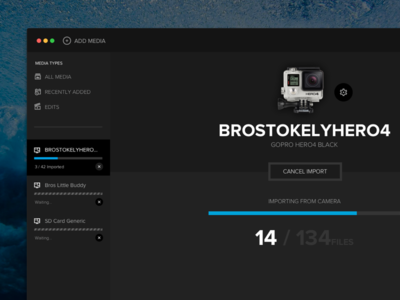 GoPro App for Desktop - Importer