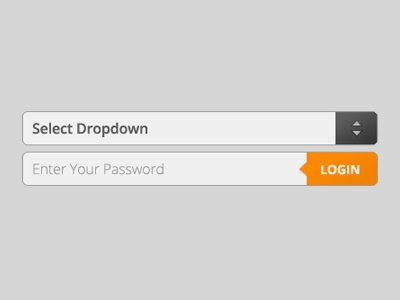 Dropdown, Password and Enter Form Elements dropdown enter field fields form go gray grey login orange password