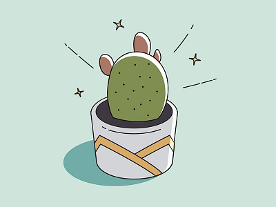 Cactus cactus plant succulent vector