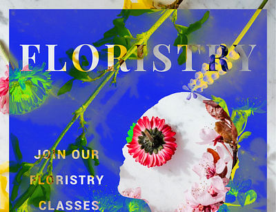Floristry business design digital design graphics