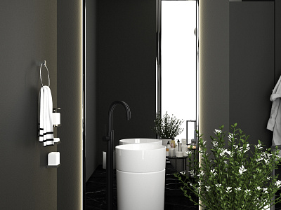 Architecture Bathroom and Toilet Design 3d design