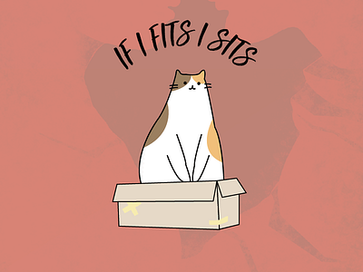 Thefatcat box cat cute fat cat feline illustration kawai