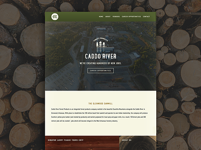 Caddo River Forest Products Website arkansas pine tree saw blade sawmill squarespace trees website wood grain